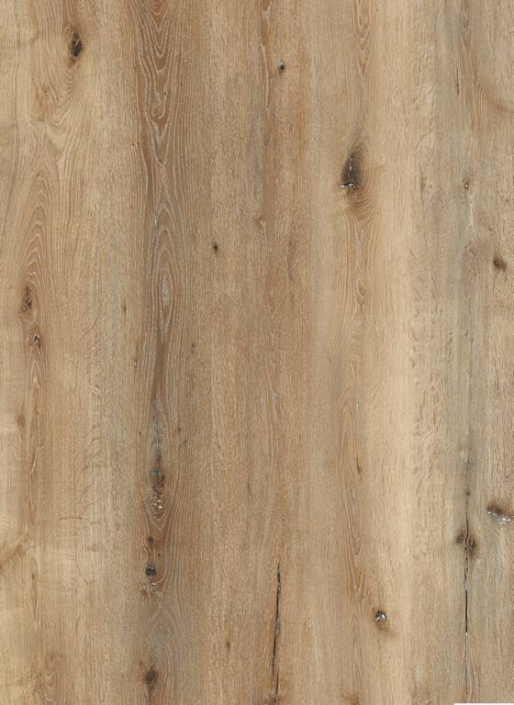 630151 – Balkan country oak