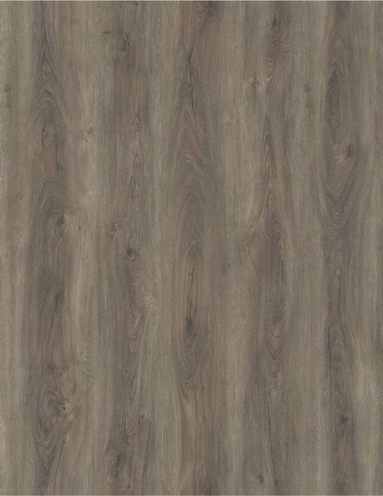 630755 – Vogezen oak