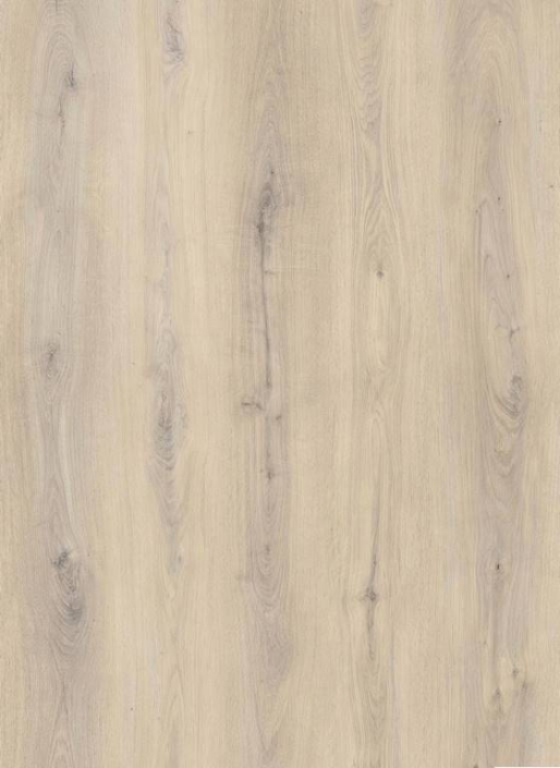 716442 – Los Angeles oak