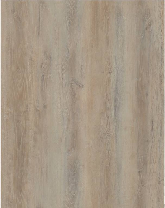 716459 – San Diego oak