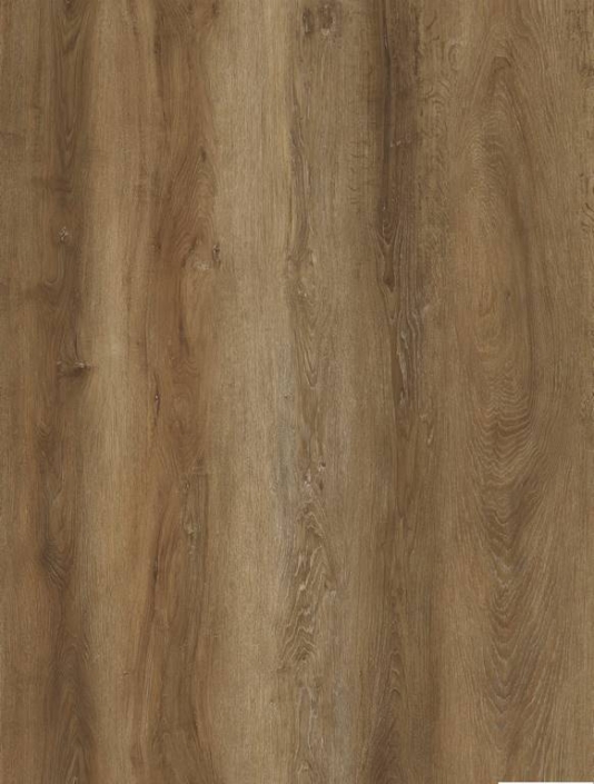 716473 – San Francisco oak