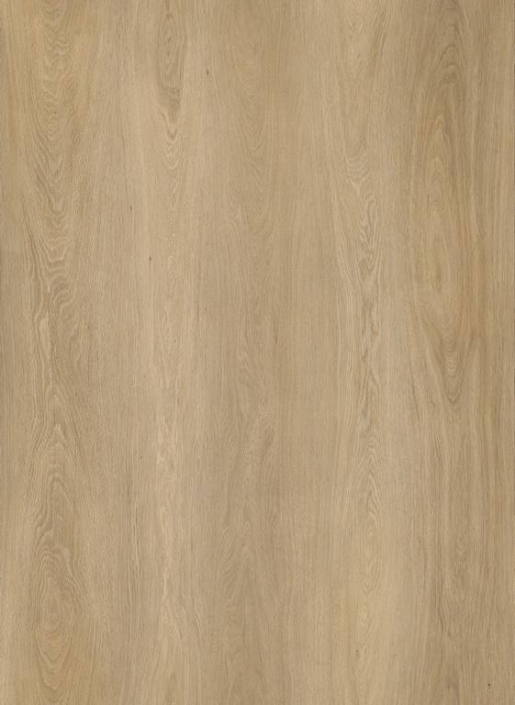 716480 – Long Beach oak