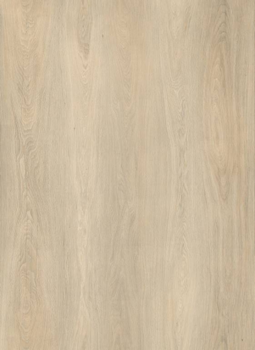 716497 – Sacramento oak