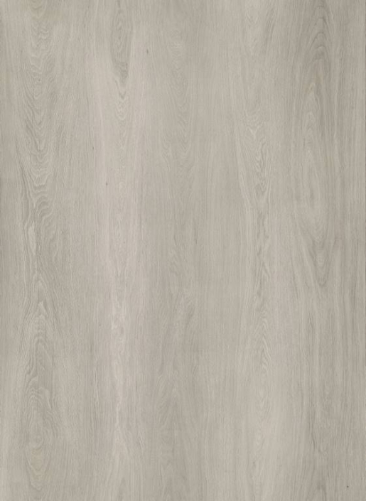 716503 – Fresno oak