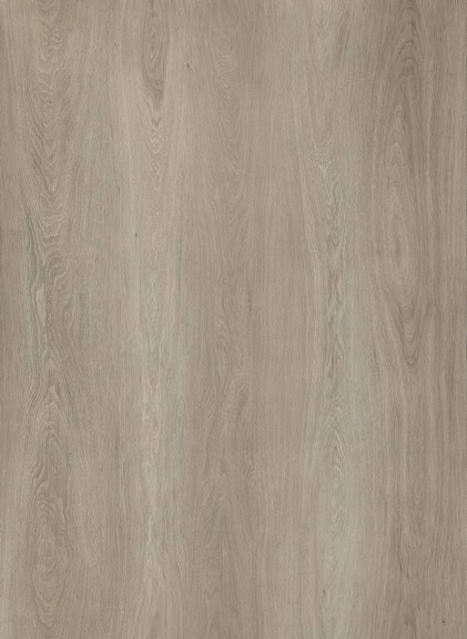 716510 – Oakland oak