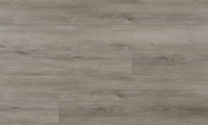 Absolute 50 RLV 1217