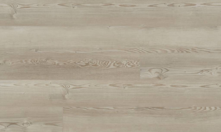 Cosmopolitan 50 RLV 1221