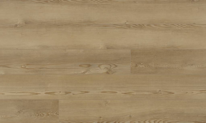 Petronas 50 RLV 1223